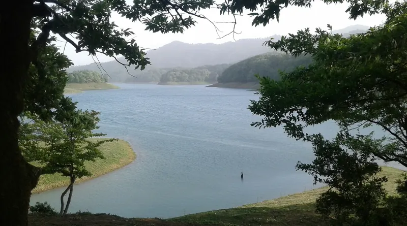 لنكران, غابات هيركان