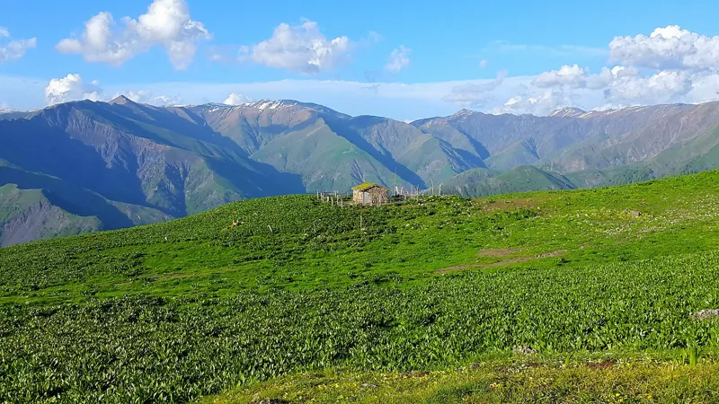 2016.09.26 Big Caucasian mountain Qakh street Lyakit-Kothuklu village